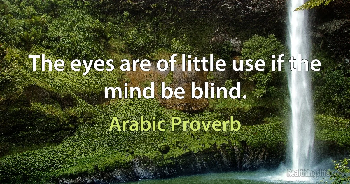 The eyes are of little use if the mind be blind. (Arabic Proverb)