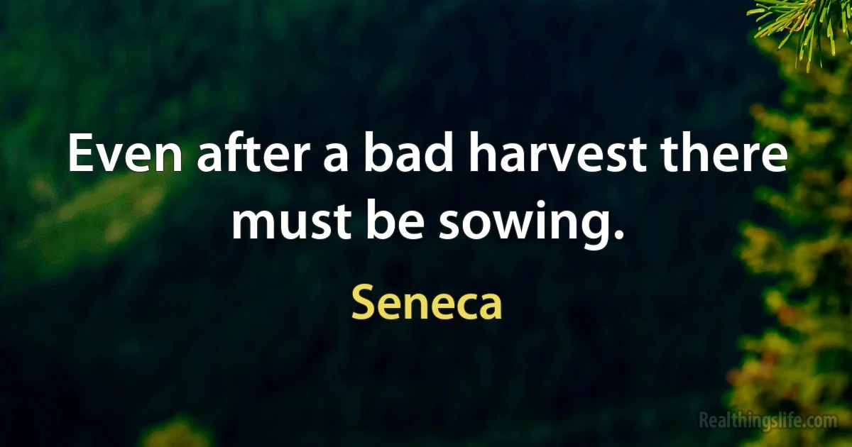 Even after a bad harvest there must be sowing. (Seneca)