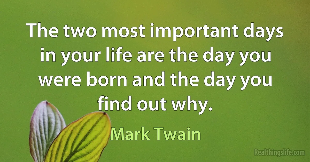 The two most important days in your life are the day you were born and the day you find out why. (Mark Twain)