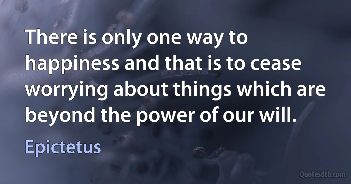 There is only one way to happiness and that is to cease worrying about things which are beyond the power of our will. (Epictetus)