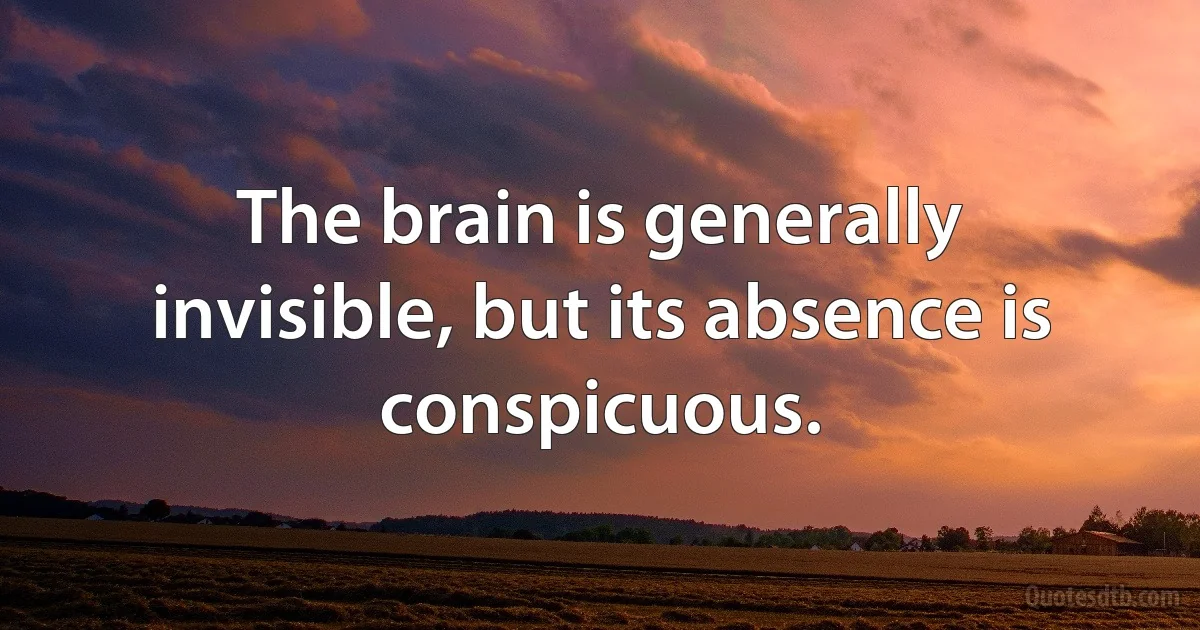 The brain is generally invisible, but its absence is conspicuous. (INZ EN)