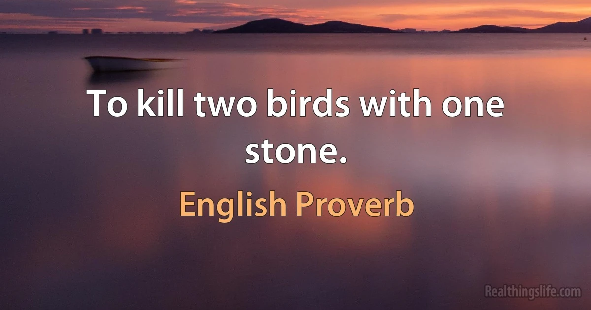 To kill two birds with one stone. (English Proverb)