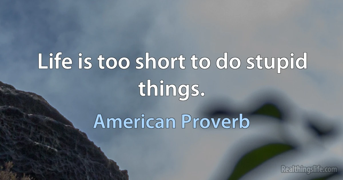 Life is too short to do stupid things. (American Proverb)