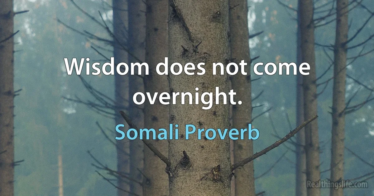 Wisdom does not come overnight. (Somali Proverb)