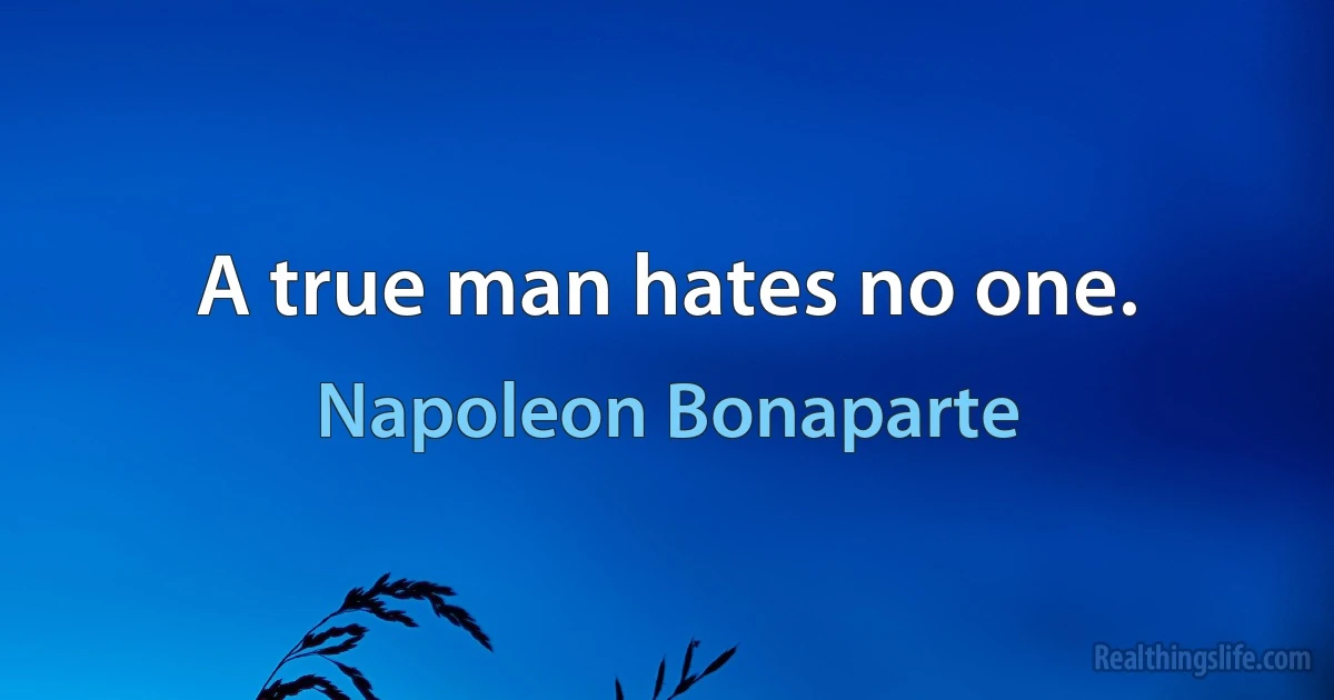 A true man hates no one. (Napoleon Bonaparte)