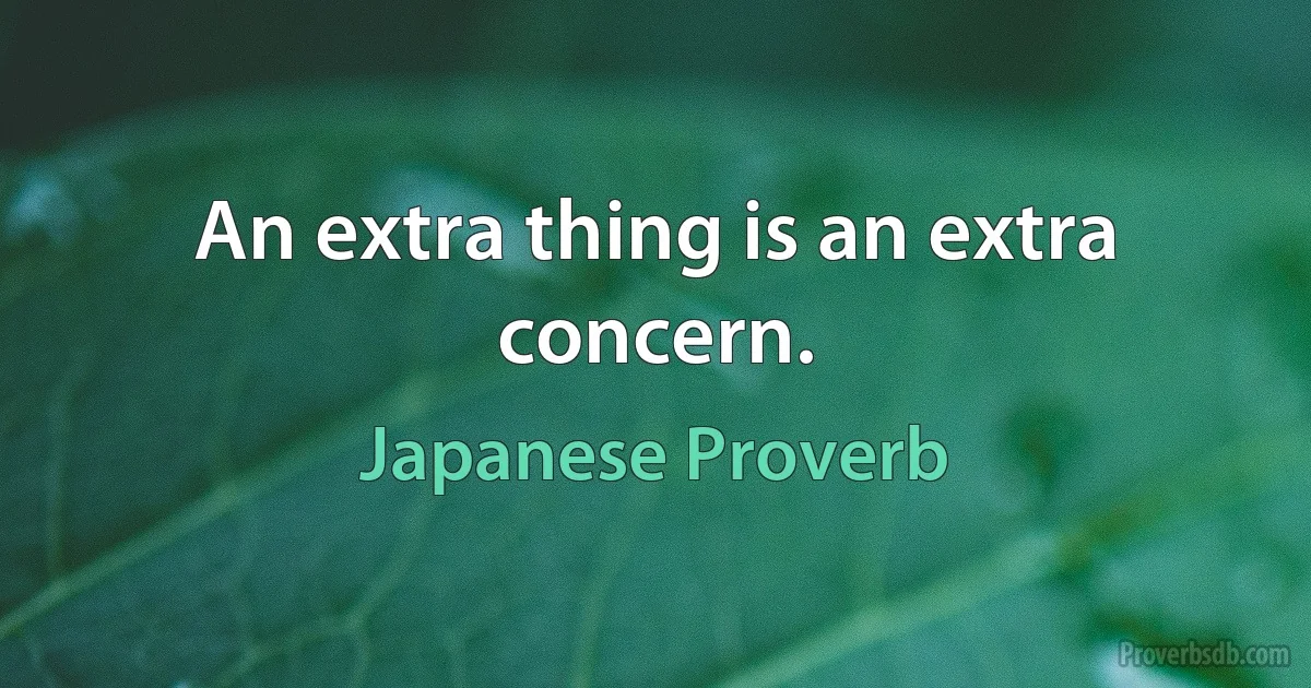 An extra thing is an extra concern. (Japanese Proverb)
