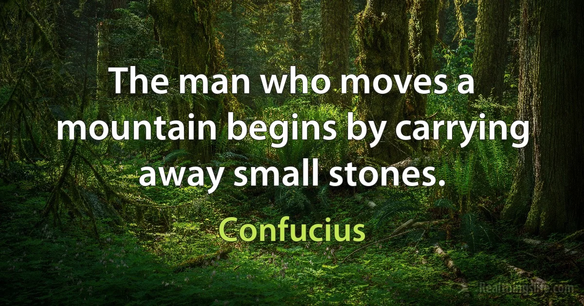 The man who moves a mountain begins by carrying away small stones. (Confucius)