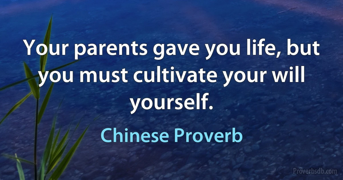 Your parents gave you life, but you must cultivate your will yourself. (Chinese Proverb)