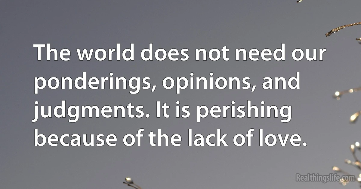 The world does not need our ponderings, opinions, and judgments. It is perishing because of the lack of love. (INZ EN)