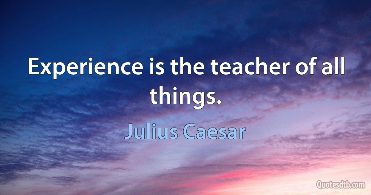 Experience is the teacher of all things. (Julius Caesar)