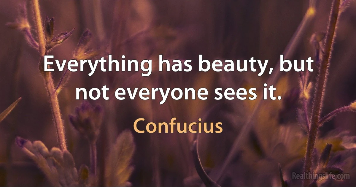 Everything has beauty, but not everyone sees it. ()