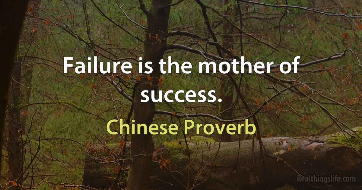 Failure is the mother of success. (Chinese Proverb)