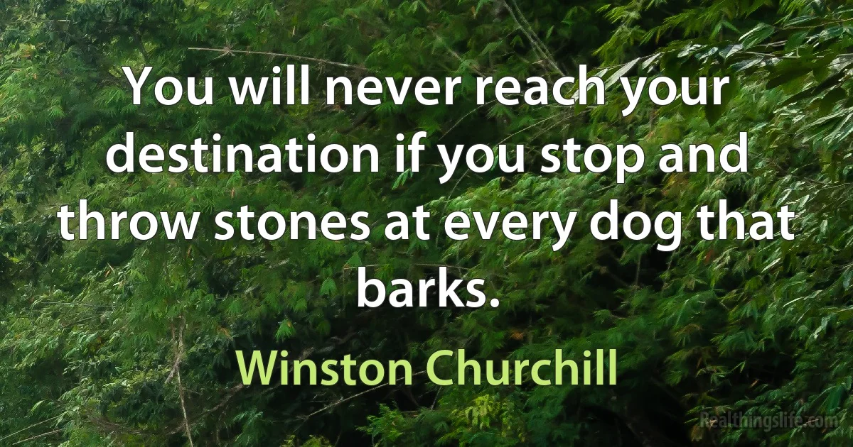 You will never reach your destination if you stop and throw stones at every dog that barks. (Winston Churchill)