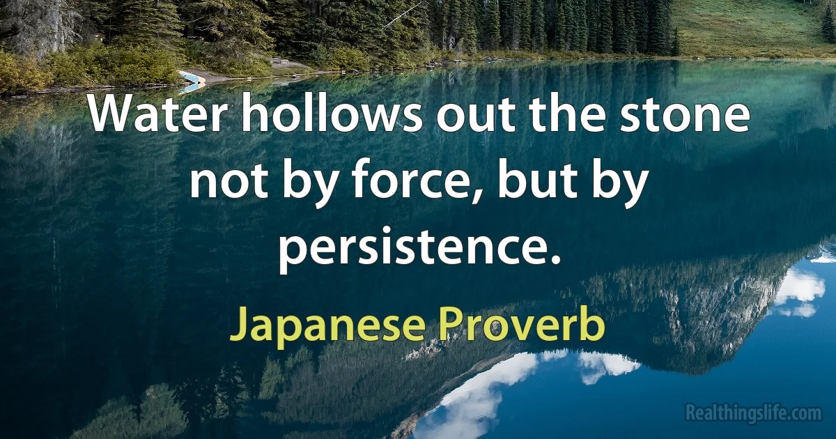 Water hollows out the stone not by force, but by persistence. (Japanese Proverb)