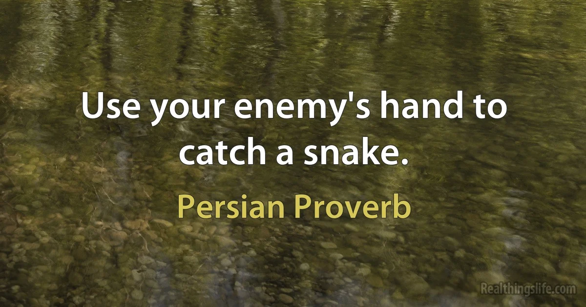 Use your enemy's hand to catch a snake. (Persian Proverb)