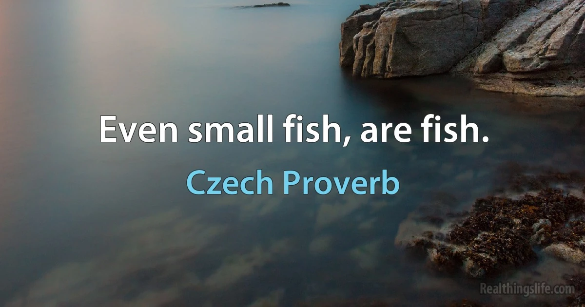 Even small fish, are fish. (Czech Proverb)