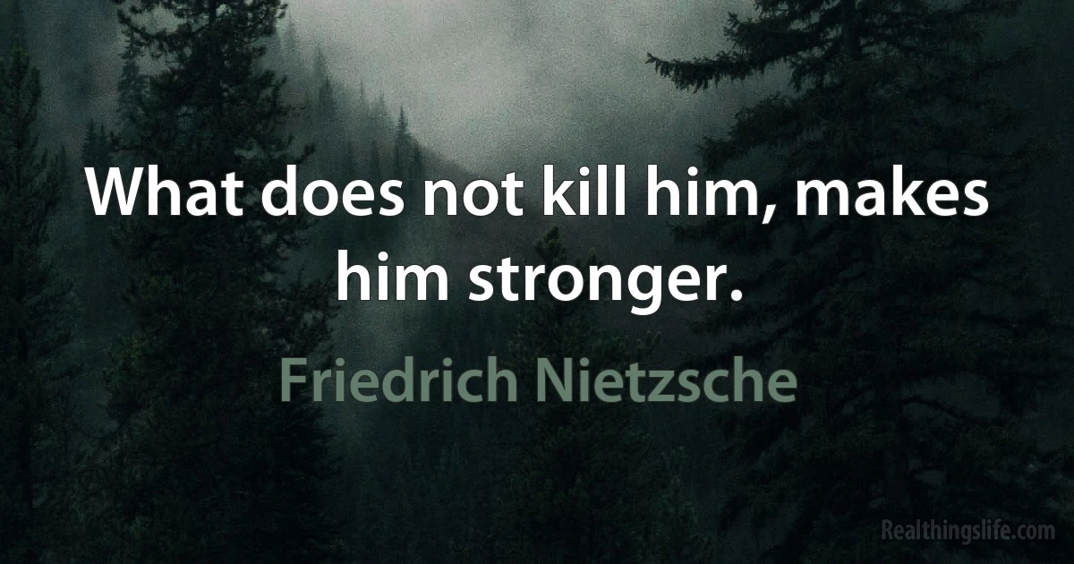 What does not kill him, makes him stronger. (Friedrich Nietzsche)