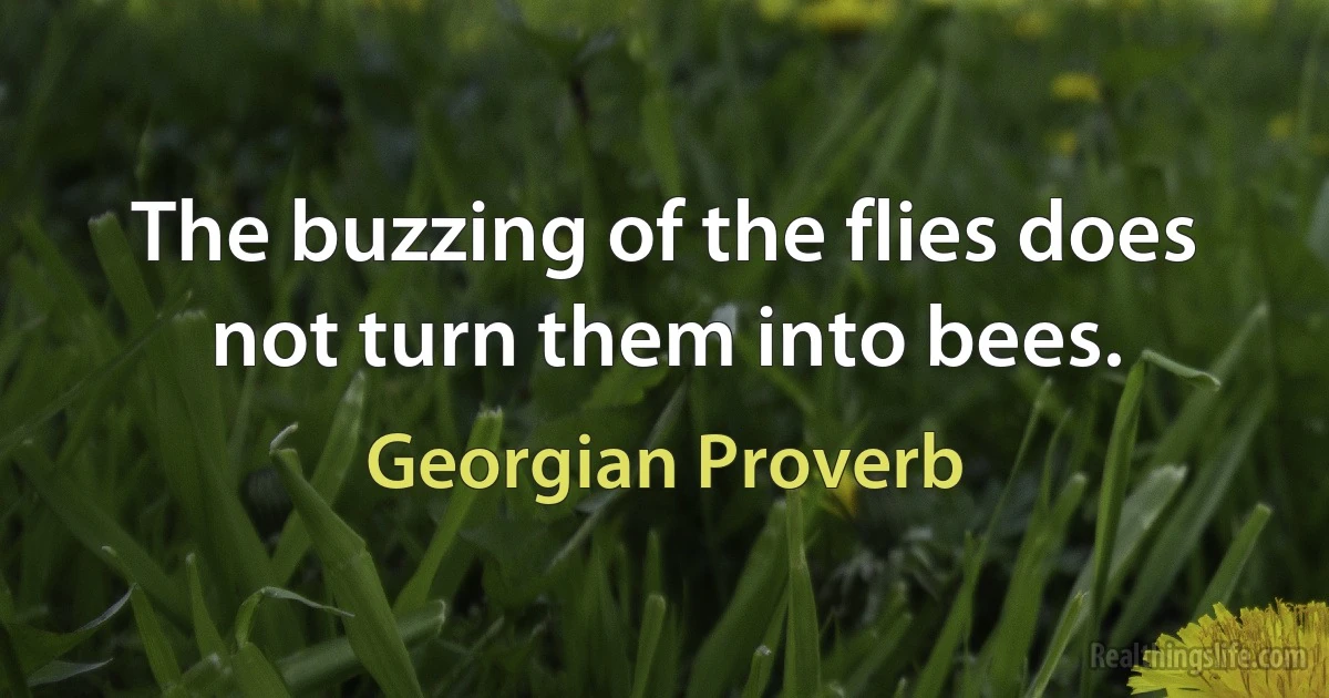 The buzzing of the flies does not turn them into bees. (Georgian Proverb)