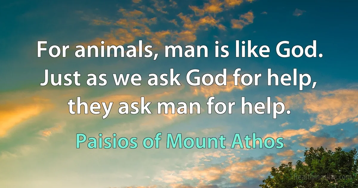 For animals, man is like God. Just as we ask God for help, they ask man for help. (Paisios of Mount Athos)