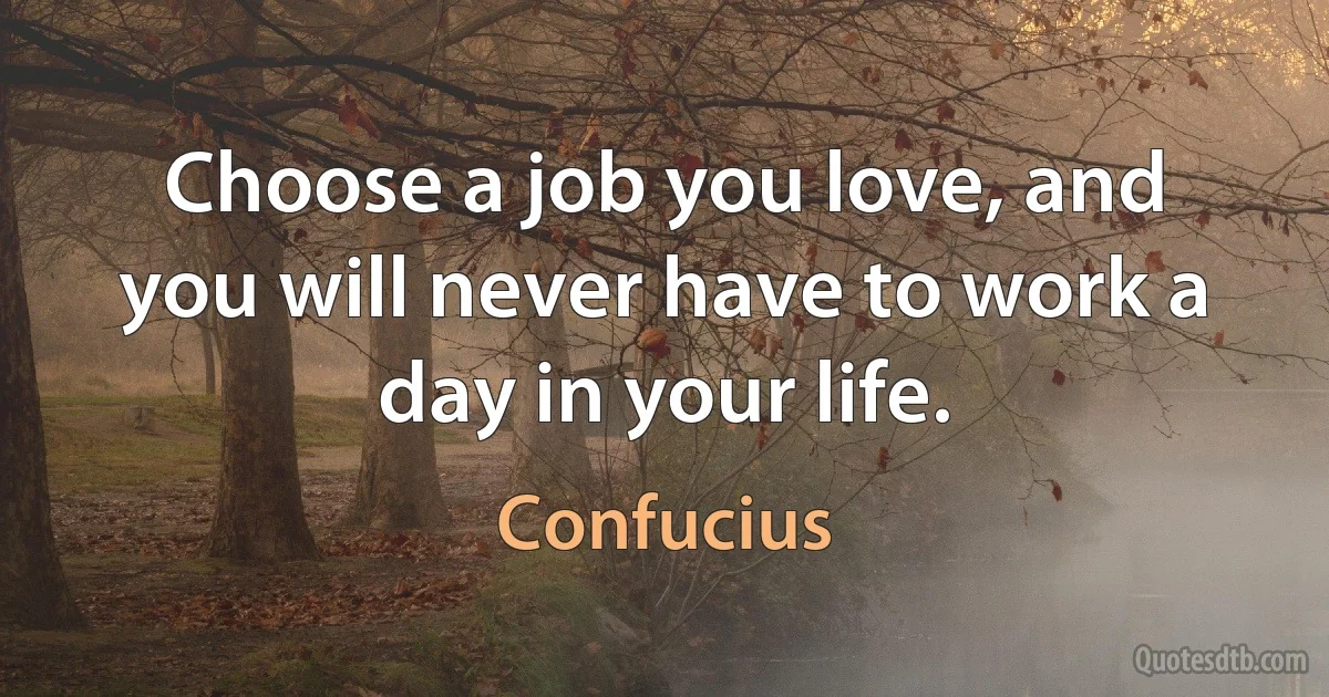 Choose a job you love, and you will never have to work a day in your life. (Confucius)