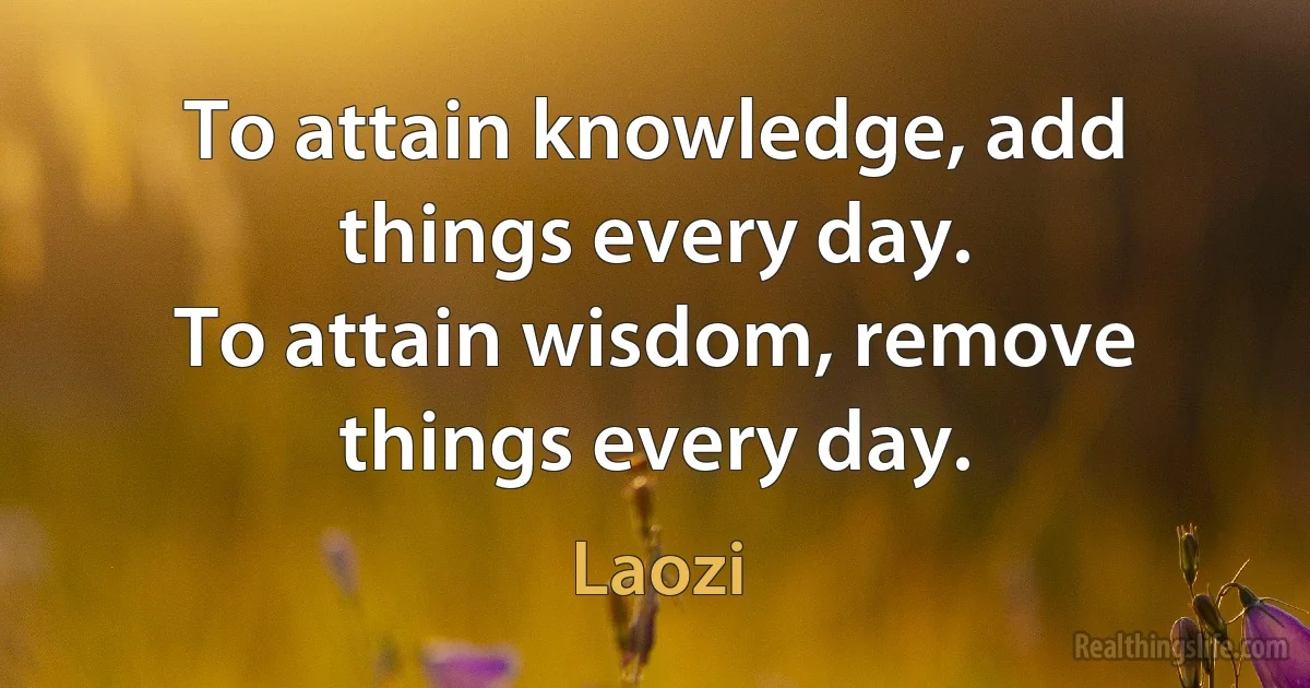 To attain knowledge, add things every day.
To attain wisdom, remove things every day. (Laozi)