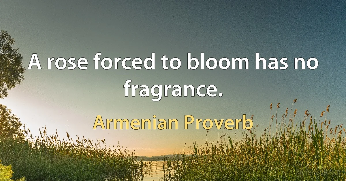 A rose forced to bloom has no fragrance. (Armenian Proverb)